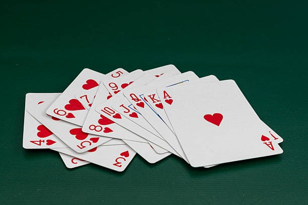 365RAJA Casino Login Guide for Beginners